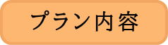 プラン詳細